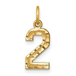 14k Yellow Gold, Varsity Collection, Small D/C Pendant Number 2